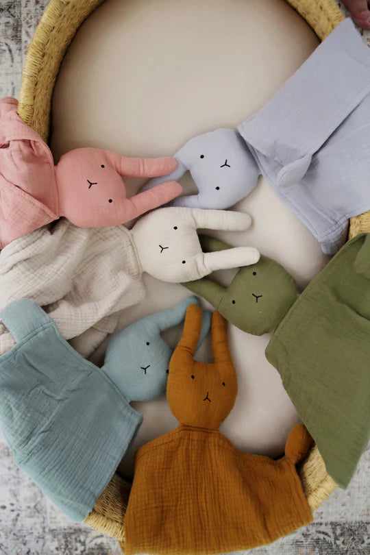 BUNNY LOVEYS
