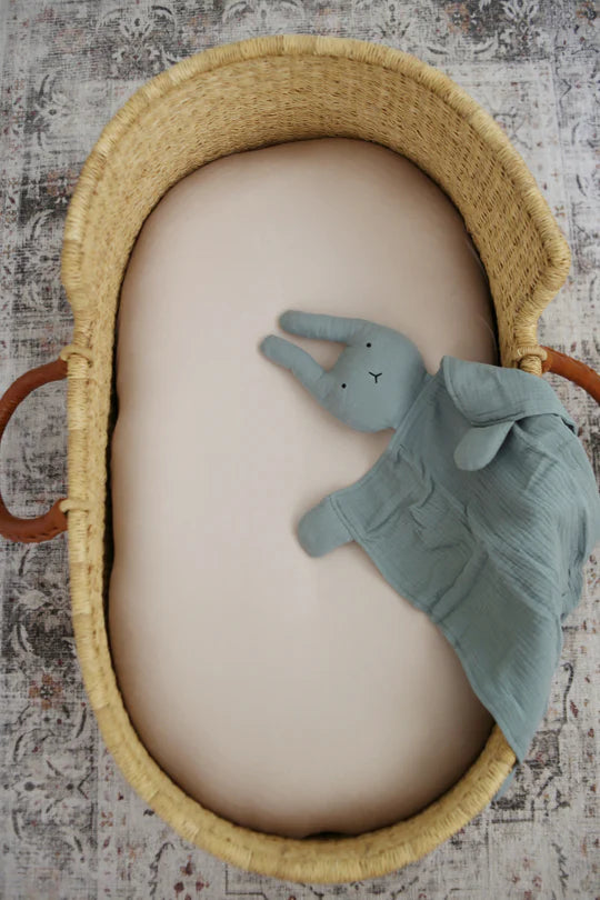 BUNNY LOVEYS