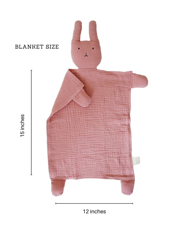 BUNNY LOVEYS