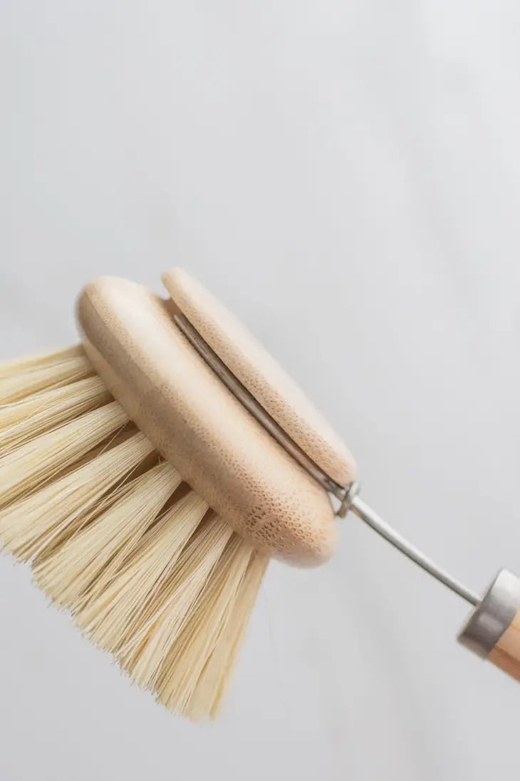 LONG HANDLE DISH BRUSH