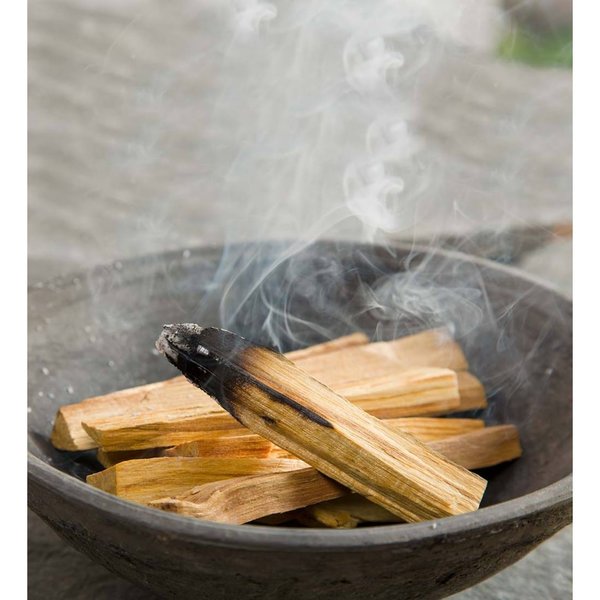 PALO SANTO BUNDLE