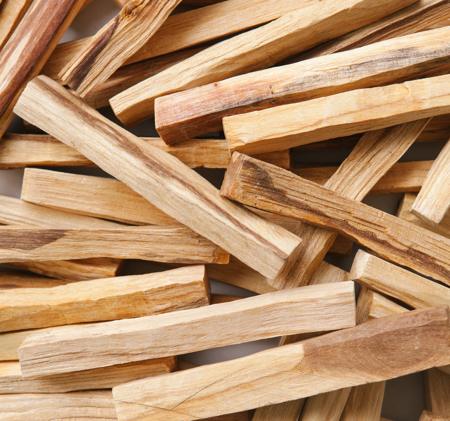 PALO SANTO BUNDLE