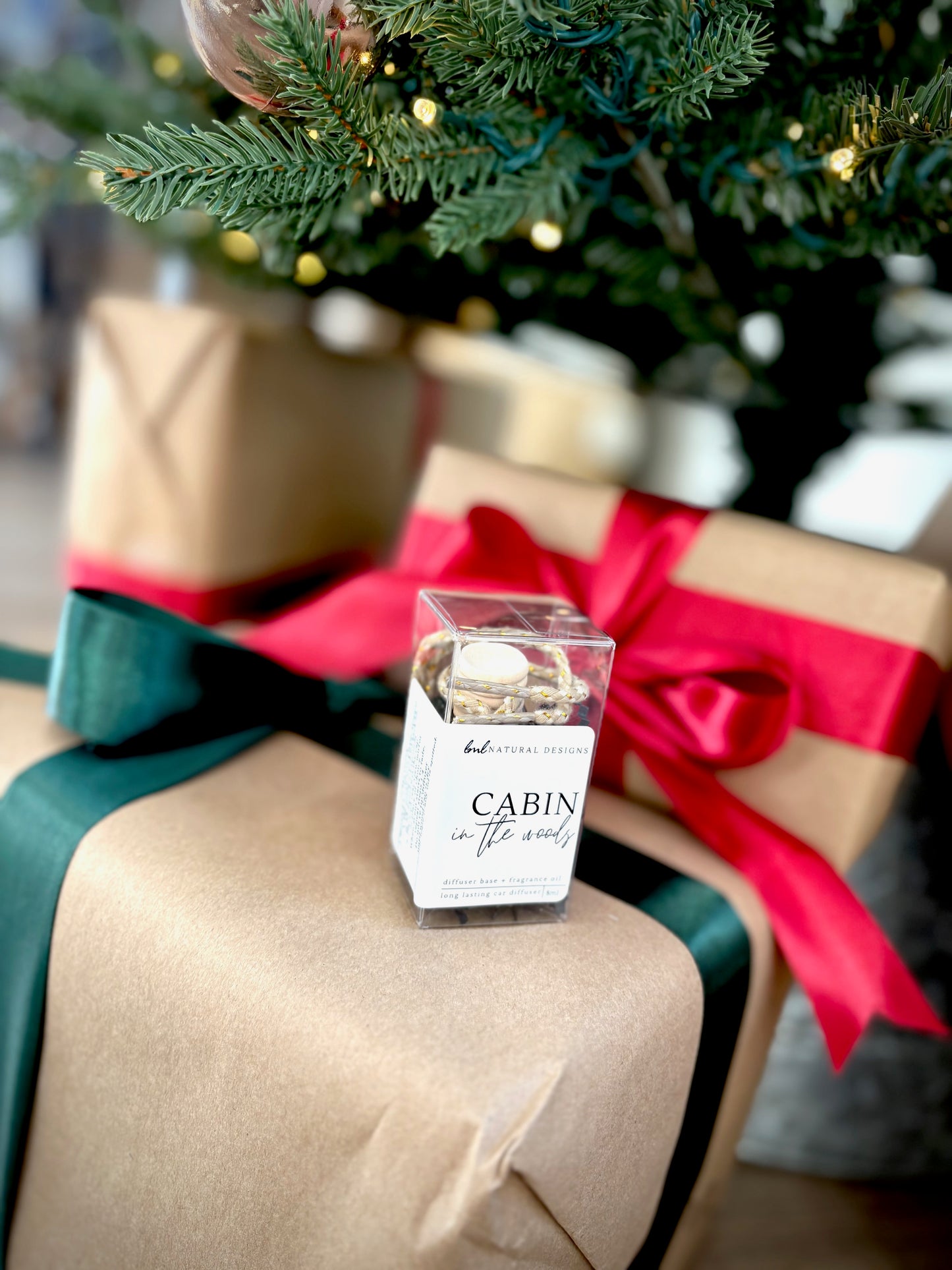 WINTER COLLECTION car diffusers