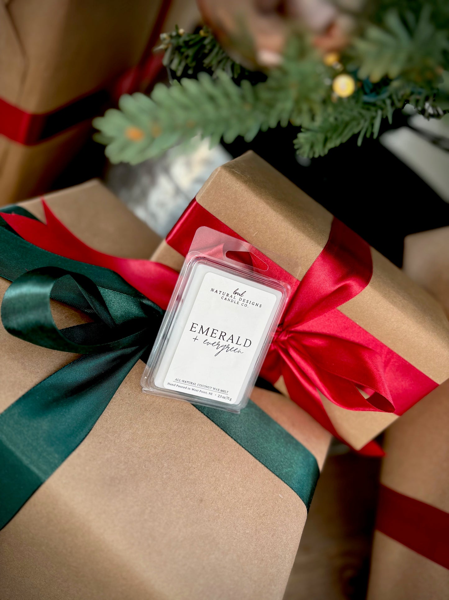 WINTER COLLECTION wax melts